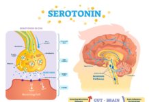 What Is Serotonin?
