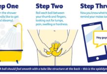 What Is Testicular Cancer? Symptoms, Causes, Diagnosis, Treatment, and Prevention