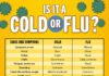 What Is the Difference Between Cold and Flu? Symptoms, Causes, Diagnosis, Treatment, and Prevention
