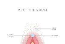 What Is the Vagina?