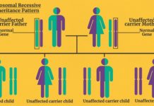 What Is XYY Syndrome? Symptoms, Causes, Diagnosis, Treatment, and Prevention